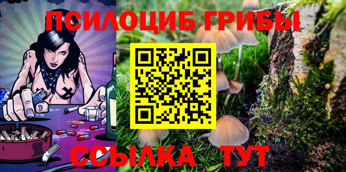 Кузнецк  Галлюциногенные грибы Psilocybine cubensis  Вход с VPN 