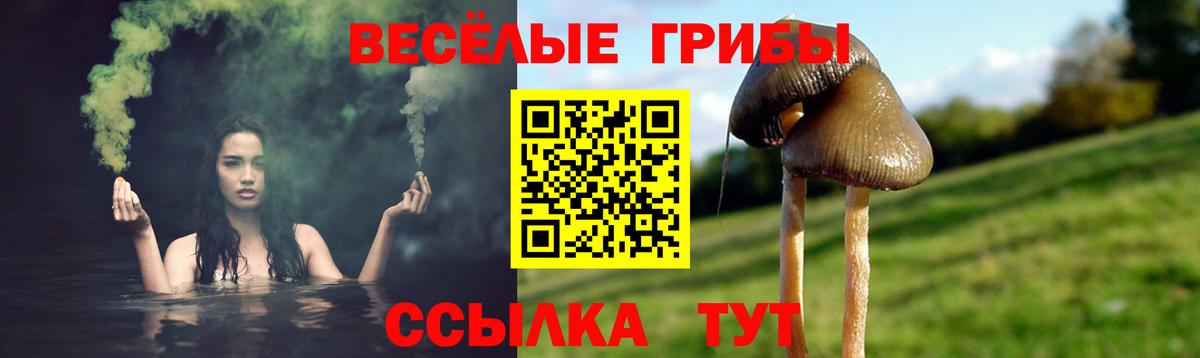 Псилоцибиновые грибы мухоморы Кузнецк